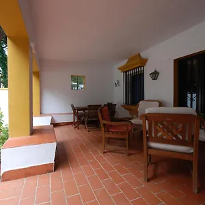 https://oasis-en-la-playa.es-andalucia.com