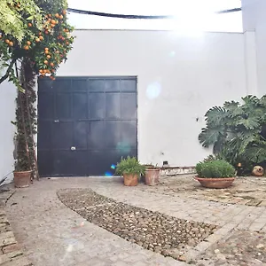 https://aljarafe-paradise.es-andalucia.com